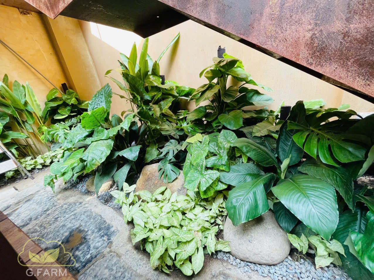 Tiểu cảnh sân vườn quán Coffe phố Trần Quốc Toản
